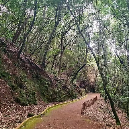 Casa Calma Ii Tranquilidad En Tenerife Norte تاكورونتي