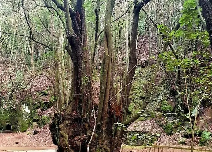 Casa Calma Ii Piso Centrico En *