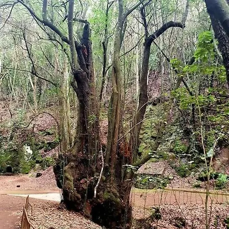 Casa Calma Ii Piso Centrico En Διαμέρισμα