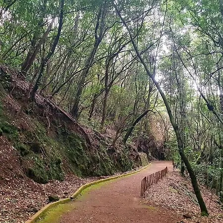 Casa Calma Ii Piso Centrico En