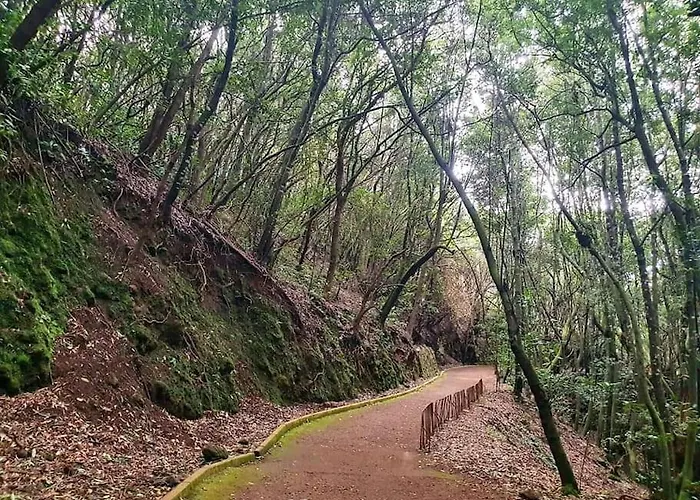 Casa Calma II Tranquilidad En Tenerife Norte